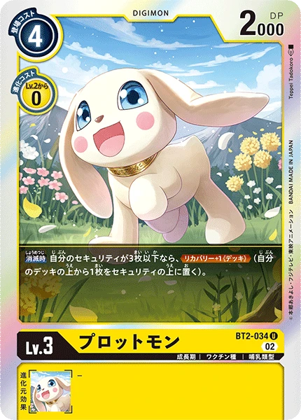 Salamon
