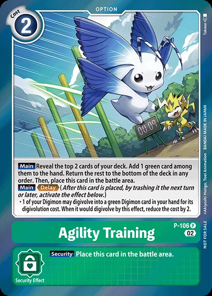 Agility Training