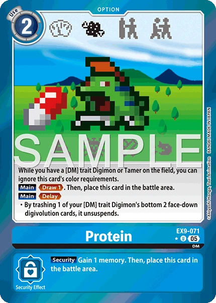Protein