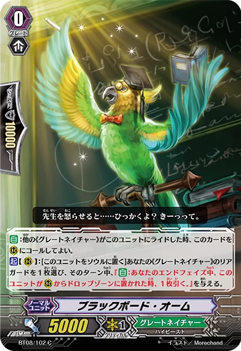 Blackboard Parrot
