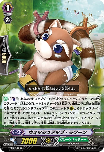 Wash Up Racoon