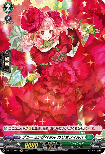 Blooming Petal, Caryophyllus