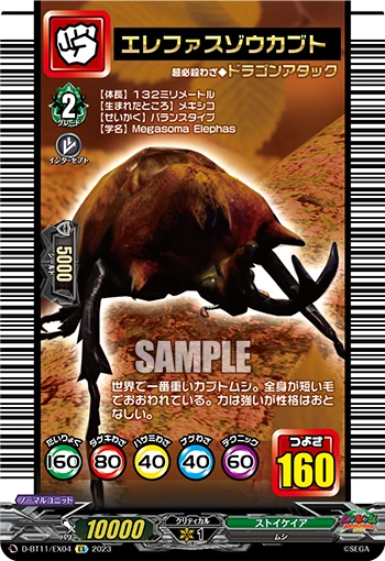 Elephant Beetle