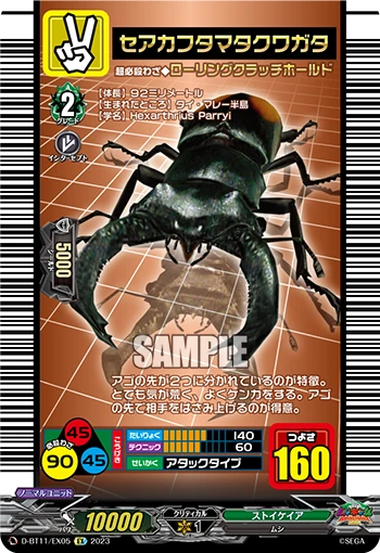 Parry Stag-beetle