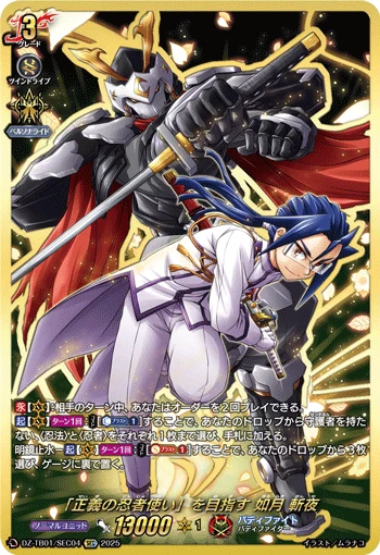 Aspiring "Ninja-user of Justice", Zanya Kisaragi