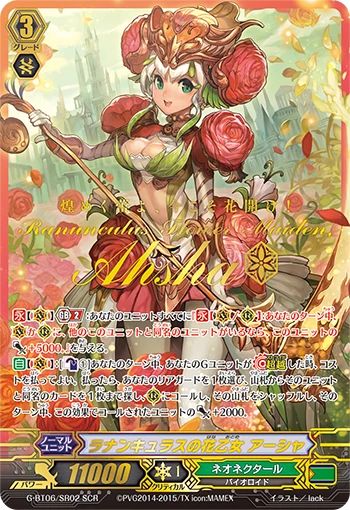 Ranunculus Flower Maiden, Ahsha