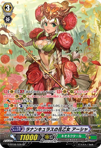 Ranunculus Flower Maiden, Ahsha