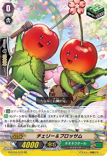 Cherry & Blossom