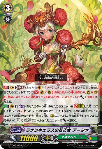 Ranunculus Flower Maiden, Ahsha