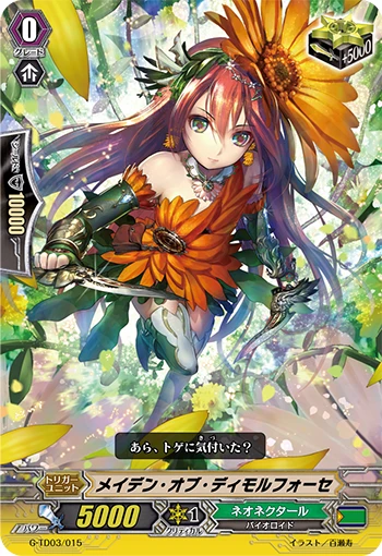 Maiden of Dimorphotheca