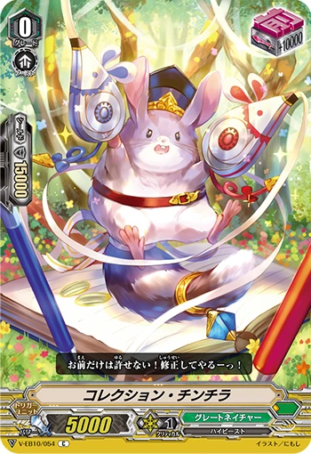 Correction Chinchilla
