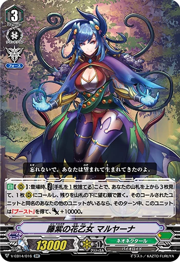 Royal Purple Flower Maiden, Marjana