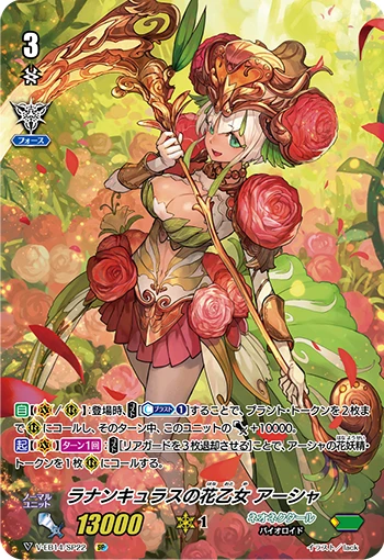 Ranunculus Flower Maiden, Ahsha